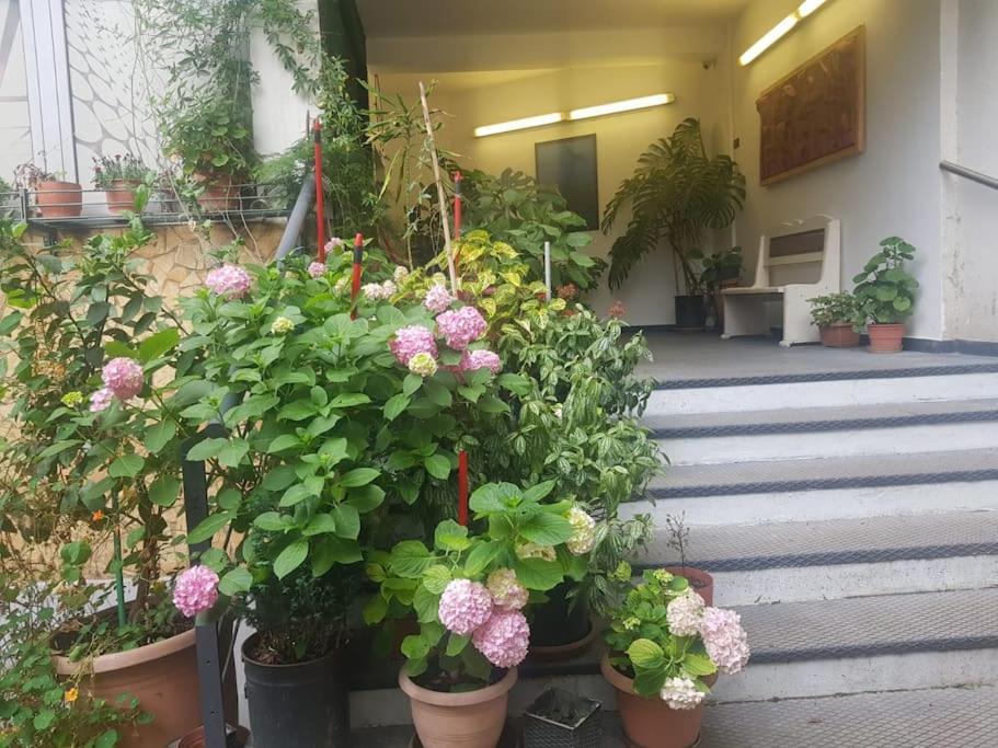 Pazari_Ri_Studio Leilighet Tiranë Eksteriør bilde