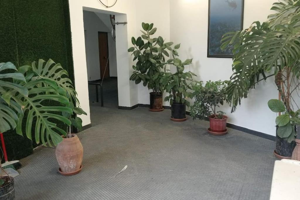 Pazari_Ri_Studio Leilighet Tiranë Eksteriør bilde